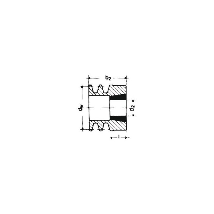 Fulie cu canelura in V, SPZ/10, cu 2 caneluri, 60 mm, bucsa conica 1108