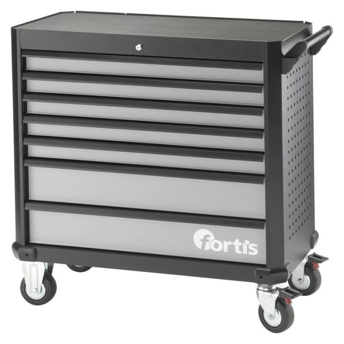 fortis - Dulap pentru scule 965x460x1025mm [4317784730938]