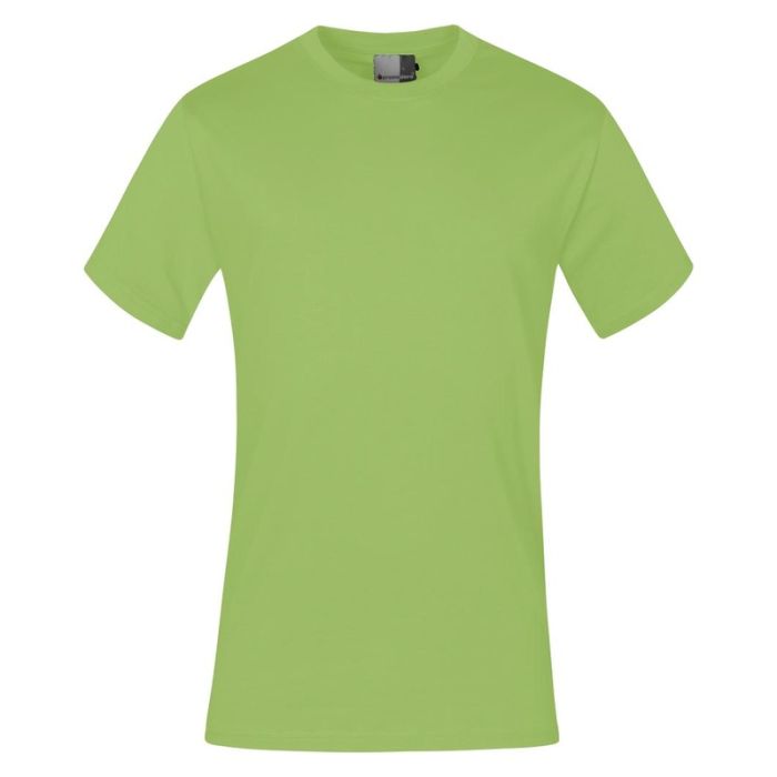 promodoro - Tricou Premium 3099, verde, mas. XXL